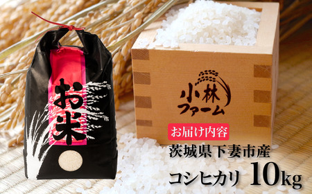 精米 10kg 令和7年産 コシヒカリ 茨城県 下妻市産
