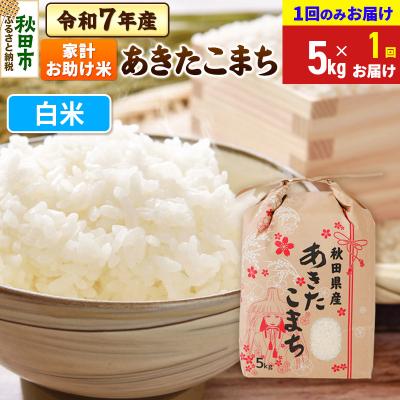 ふるさと納税 秋田市 あきたこまち 家計お助け 5kg【1回お届け】 白米 令和7年|15_kml-210501h