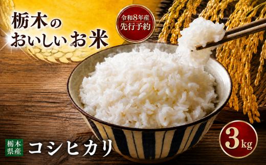 【先行予約】 令和8年度産  コシヒカリ 3kg |  米  お米 こめ ご飯 ごはん もちもち   栃木県 真岡市 送料無料