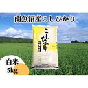 【ふるさと納税】中【令和6年産 新米】【新潟県 特A地区】南魚沼産こしひかり 白米5kg | お米 こめ 白米 コシヒカリ 食品 人気 おすすめ 送料無料 魚沼 南魚沼 南魚沼市 新潟県産 新潟県 精米 産直 産地直送 お取り寄せ