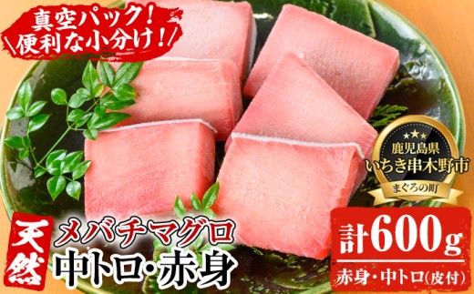 天然! 旬の メバチマグロ 約600g（中トロ 100g×2 赤身 100g×4）を 便利 な 小分け 柵 でお届け! まぐろ 刺身 中とろ 赤身 メバチまぐろ【海鮮まぐろ家】【00-041-02】