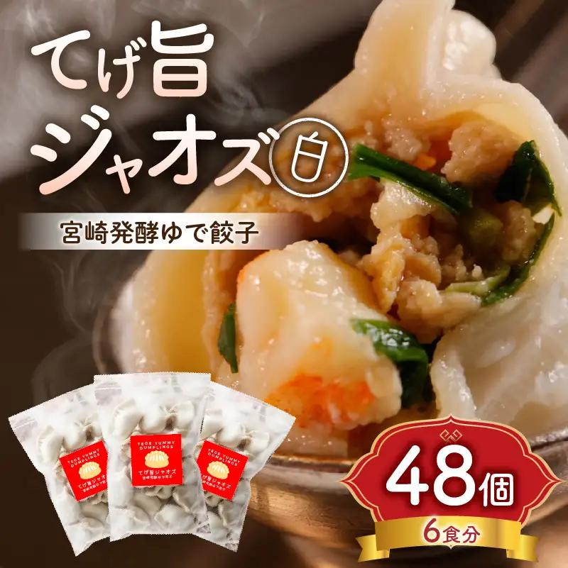 てげ旨ジャオズ【白】6食分（48個入） 餃子 ぎょうざ 48個 茹で餃子 冷凍餃子 豚肉 ニラ にんにく不使用 惣菜 お惣菜 おかず 簡単 簡単調理 茹でる 茹でるだけ 小分け パック 袋 冷凍 グルメ お取り寄せ ギフト