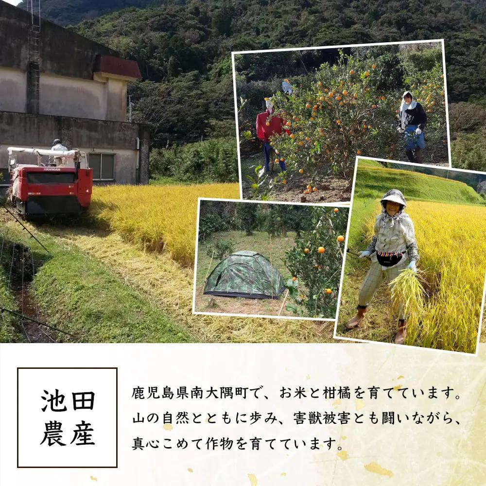 【全3回定期便】南大隅町辺塚産 あきほなみ5kg×3カ月連続 計15kg ID-10｜ 2026年産 主食 鹿児島県 南大隅 白米 米 こめ コメ 5キロ 10キロ ご飯 大自然のお米 国産 産地直送