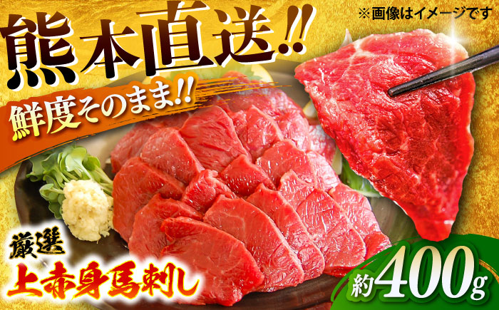 厳選上赤身馬刺し 約400g（醤油・生姜付） / 馬肉 上赤身 ばさし 熊本県 特産品【有限会社菊陽食肉センター】 [BHAC004]