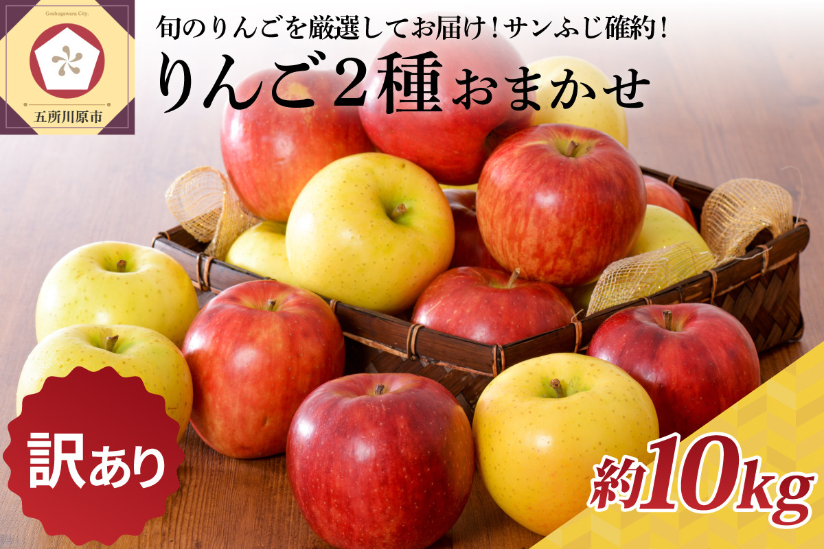 
【選べる配送時期】【訳あり】りんご 約10kg サンふじ確約 青森産 品種おまかせ2種以上
