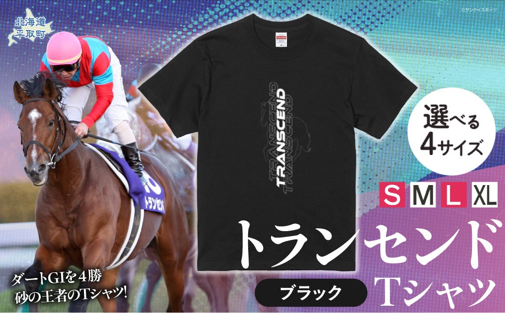 
                  【トランセンド】Ｔシャツ 選べる４サイズ 【Ｓ・М・Ｌ・ＸＬ】  【ふるさと納税 人気 おすすめ ランキング 馬 競馬 競走馬 引退馬 トランセンド Tシャツ シャツ 服 飾り物 生活 日用品 日高 北海道 平取町 びらとり 送料無料】BRTV150-v
                