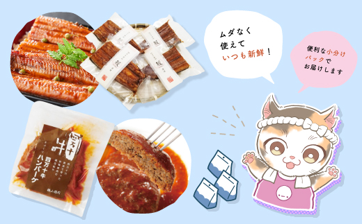 【 3回 お届け 】 便利 でうれしい！ 小分け 定期便 毎月届く 小分けパック ストック 保存食 冷凍 冷凍食品 惣菜 おかず パン 冷凍パン 生食パン うなぎ ウナギ 鰻 ハンバーグ お弁当 弁当