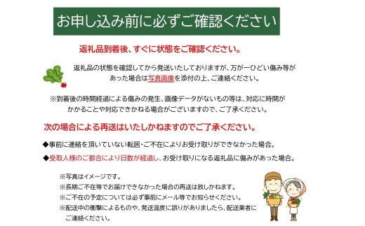野菜 詰め合わせ 野菜セット 7～8品 お試し 人気 岩手県産 野菜詰め合わせ 新鮮 注文が来てから収穫 採れたて 季節の野菜 おまかせ やさい 産地直送 旬 ねぎ にんじん たまねぎ じゃがいも ほうれん草 しいたけ 根菜 果物 送料無料 岩手県 一関市