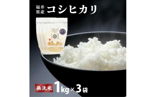 【定期便6回】福井県産 コシヒカリ 無洗米 3kg（1kg×3）＜令和8年産 / 数量限定 ＞【米 コメ お米 精米 白米 無洗米 玄米 ご飯 飯 こしひかり ブランド米 国産】[095-t06-a331]