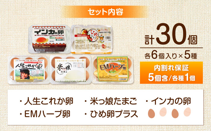 はじめての卵 食べ比べセット 6個×5種類(内割れ保証5個、各種1個づつ)／たまご 生卵 食べ比べ 詰め合わせ お試し 内子町【有限会社イヨエッグ】 [BKCB001]