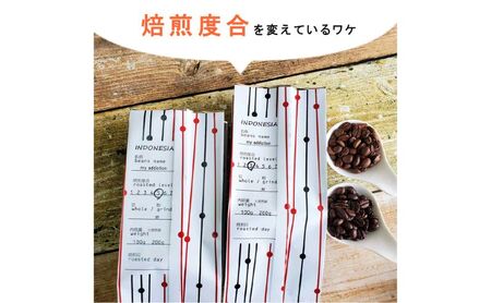 スペシャルティコーヒー　焙煎度合の違いを体感。飲み比べセット　100g×2袋 飲み比べセット100g×2袋（粉）