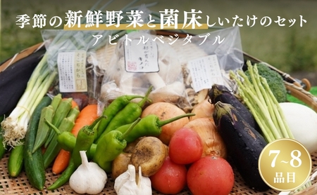 季節の新鮮野菜と菌床しいたけのセット 野菜 詰め合わせ 野菜