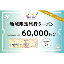 【ふるさと納税】静岡県静岡市 日本旅行 地域限定旅行クーポン60,000円分