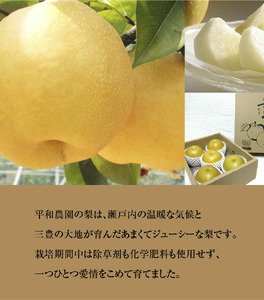 梨 数量限定！平和農園 幸水梨 小箱（6～7玉）＜約２kg＞フルーツ ふるーつ 果物 くだもの 三豊市_M32-0004 なし ナシ