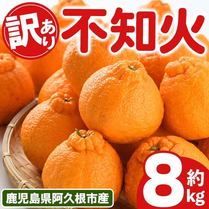 ＜先行予約受付中！2027年3月上旬以降順次発送予定＞ 訳あり！露地栽培の不知火(約8kg) 国産 不知火 しらぬい 柑橘 果物 フルーツ デザート 露地 果実 期間限定 数量限定 【古田果樹園】akn093-09