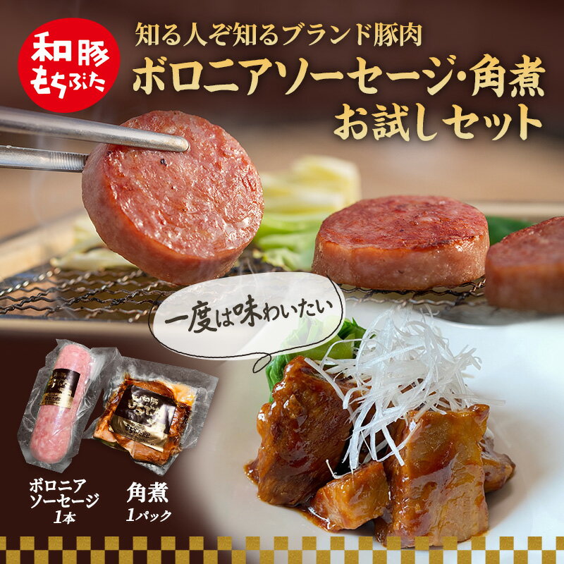 【ふるさと納税】もちぶた お試し 加工品 セット こだわりのちょっと贅沢を ソーセージ 角煮 和豚 もち豚 豚肉 ポーク 肉 豚 ぶた ブタ 豚ロース 加工肉 レトルト レトルト食品 加工肉 アウトドア キャンプ バーベキュー 冷蔵 スペシャルキャンペーン