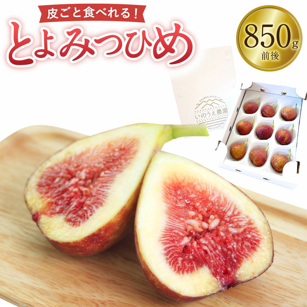 【ふるさと納税】皮ごと食べれる！ とよみつひめ 850g前後 L玉9個 もしくはM玉12個 【2025年7月下旬-9月上旬発送予定】 予約 いちじく イチジク 無花果 フルーツ 果物 くだもの 冷蔵 国産 福岡県 送料無料