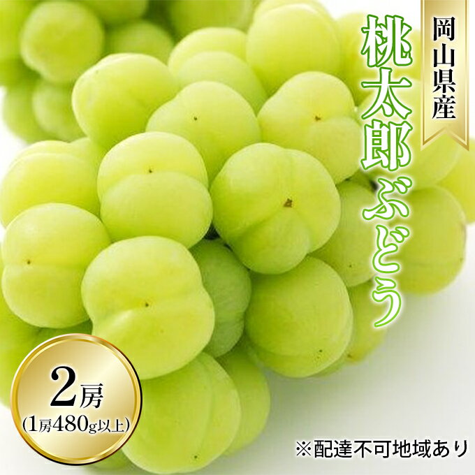 【ふるさと納税】ぶどう 2026年 先行予約 桃太郎 ぶどう 2房（1房 480g以上 ハウス栽培）贈答用 ブドウ 葡萄 岡山県産 国産 フルーツ 果物 ギフト 岡山の葡萄 　お届け：2026年7月上旬〜2026年8月中旬