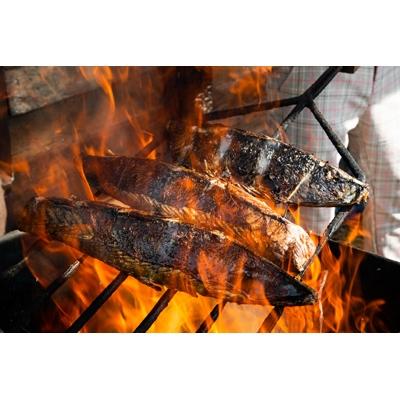 ふるさと納税 南国市 土佐沖一本釣り戻りカツオわら焼き生たたき【おひとり様用・190g】 |  | 01