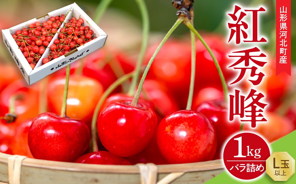 
                  【令和8年産 先行受付】朝採り！さくらんぼ 紅秀峰 1kg バラ詰め L玉以上 ギフト箱入 秀品 山形県河北町産 【山形eLab】フルーツ 人気 贈答 ふるさと納税 河北町 2026年産   ka074-020
                