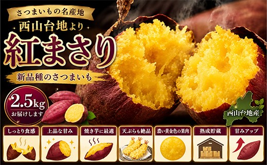 
                  【先行予約】紅まさり 2.5kg 4kg 数量限定 掘りたて！あま〜い 新さつまいも 訳あり わけあり 芋 さつま芋 野菜 サツマイモ 焼き芋 甘い スイートポテト 旬 やさい 家庭用 人気 おすすめ 期間限定 数量限定 高知県室戸市
                