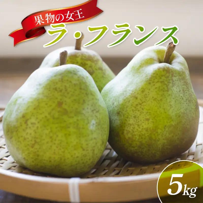 果物の女王 山形県産ラ・フランス 5kg FSY-2895