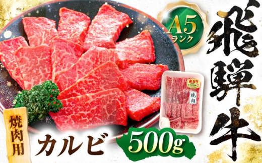 飛騨牛 A5等級 焼肉用 カルビ 500g カルビ カルビ焼肉 カルビ肉 焼肉 焼き肉 やきにく 焼肉セット 焼肉用 最高級 a5 A5 牛 和牛 牛肉 お肉 高級 贈答ギフト 岐阜市 / 肉の松久 [ANIP007]