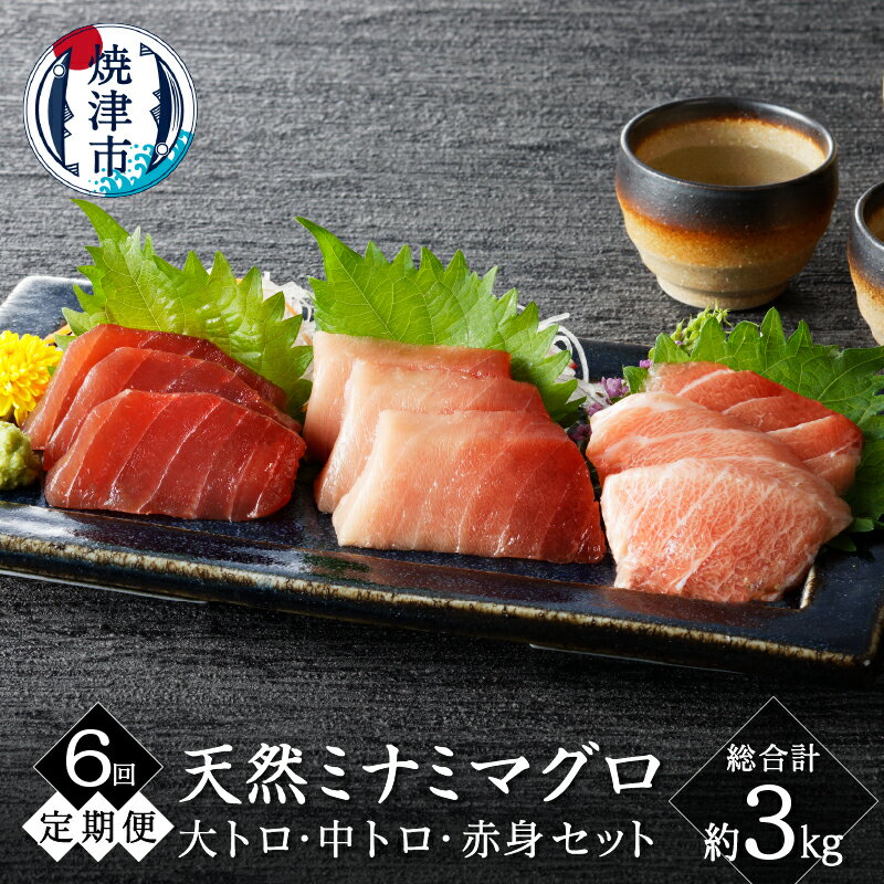 【ふるさと納税】 定期便 6回 まぐろ 天然 南鮪 大トロ 中トロ 赤身 食べ比べ 約500g セット 皮無し 柵 切り落とし 魚 焼津 b100-065