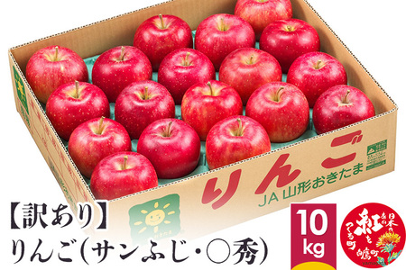 【訳あり】りんご(サンふじ・〇秀) 10kg 山形県産 フルーツ 果物 林檎 リンゴ 【2025年11月下旬-12月上旬発送予定】