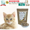 【ふるさと納税】【定期便】国産 無添加 キャットフード いのちのごはん 1kg×全6回【毎月配送】上質な鶏 新鮮野菜 果物 健康 ヒューマングレード グルテンフリー ノンオイル 素材の味 保存料不使用 栄養バランス 高タンパク ビタミン ミネラル 大阪府 泉佐野市 送料無料