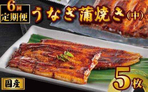 国産うなぎ蒲焼き タレ・山椒付き 5枚 1枚約100g 定期便6回  うなぎ 鰻 蒲焼 定期便 うな重 鰻丼 うな丼 ひつまぶし 土用の丑の日 土用丑 魚 海鮮 魚介類 肉 冷凍 真空パック 個包装 小分け おつまみ おかず 惣菜 ビール 酒 焼酎 日本酒 ウイスキー  お取り寄せ ギフト プレゼント 贈答 贈答用 贈り物  お中元 お歳暮 母の日 父の日 敬老の日 千葉県 銚子市 石毛川魚店
