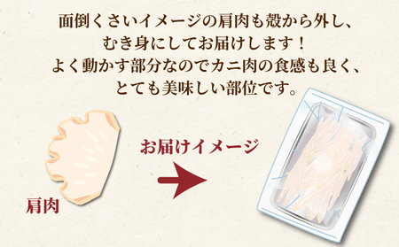 訳あり 生 本ずわいがに むき身セット 総重量 計 約 500g ニューバーク 蟹 冷凍 蟹 かに ずわいがに 蟹 かに ずわい蟹 蟹 かに 蟹 かに カニ脚 蟹 かに 蟹脚 蟹 かに カニ棒肉 蟹 