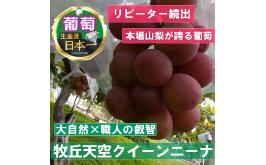 ＜2025年先行受付＞2025年9月中旬発送「幻の牧丘天空クイーンニーナ」約1kg(2～3房)【1473341】
