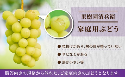 【先行受付2026年発送】ご家庭用シャインマスカットと種無し巨峰の詰め合わせ　約2kg（4～7房）｜果樹園清兵衛　農家直送 食べ比べ 朝採れ 新鮮 長野 信州 東御※2026年9月中旬以降順次発送