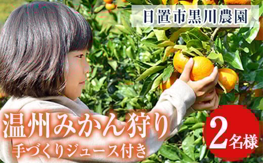 
            No.1251 ＜先行予約受付中＞温州みかん狩り(2名分)＆人気のジュース付き(2本)不知火 みかん狩り 体験 日置市 果物 果実 フルーツ 柑橘 みかん ミカン チケット ミカンジュース 期間限定【黒川農園】
          