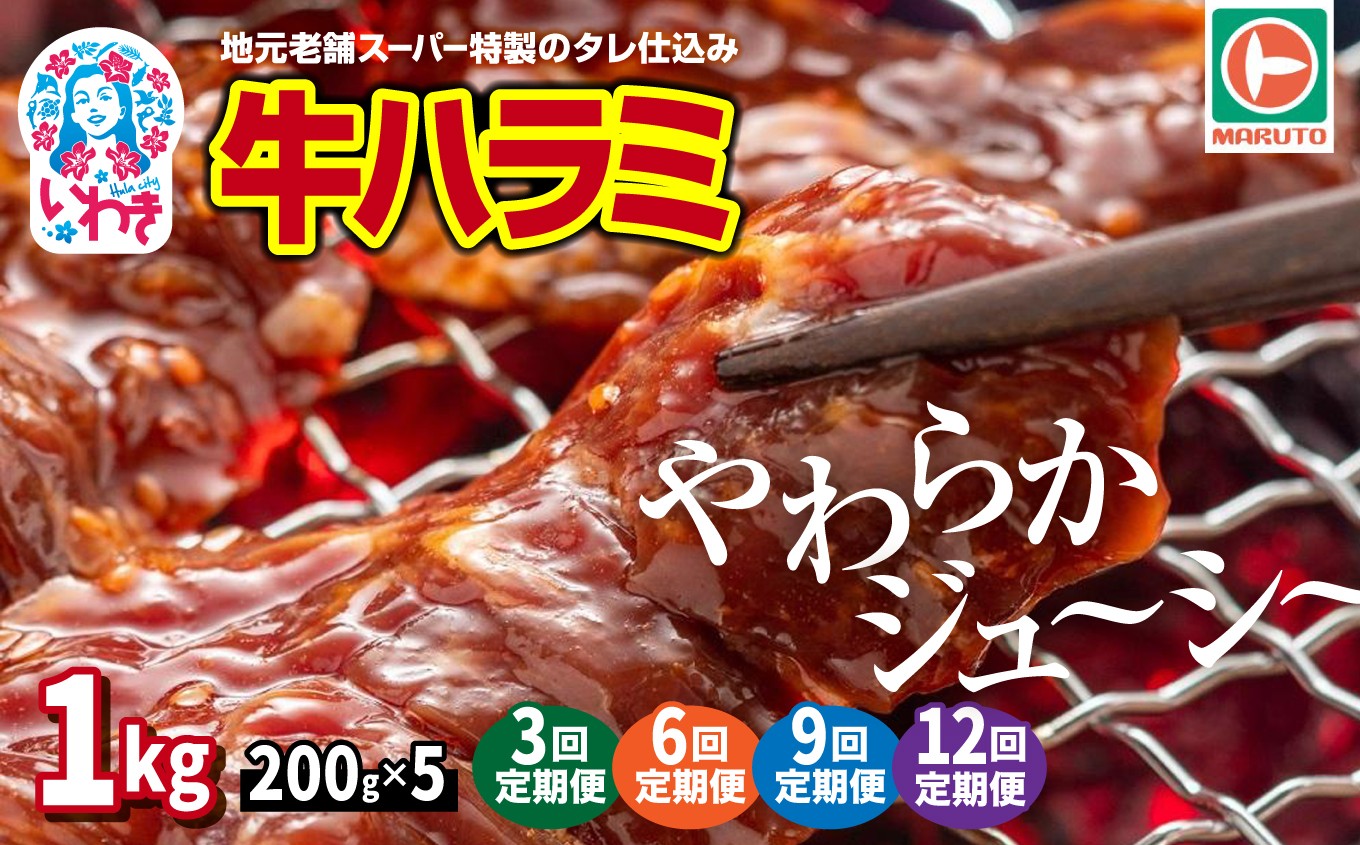 
            【定期便】味付き牛ハラミ　1kg(200g×5)　計3kg～12kg　選べる定期便（3回〜12回） | 特製タレ 焼くだけ 手作業で加工 焼肉 お取り寄せ バーベキュー ふるさと納税はらみ ふるさと納税ハラミ 柔らかい やわらか
          