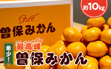 希少！最高峰曽保みかん（約10kg）フルーツ ふるーつ 果物 くだもの 三豊市【配送不可地域：北海道・沖縄県・離島】_M102-0012