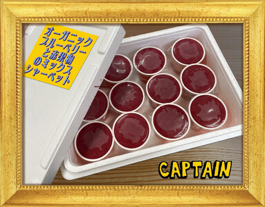 ブルーベリーシャーベット 12個 Fruits rouges シャーベット