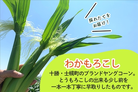 《期間限定》北海道 士幌産 わかもろこし 25本 セット (2026年7月中旬～発送開始予定)  皮付き ヤングコーン 十勝産 ベビーコーン トウモロコシ とうもろこし 産地直送 産直 お取り寄せ 送