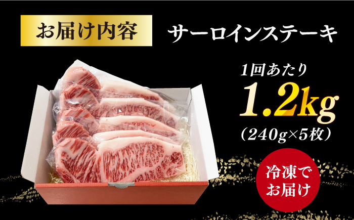 【全6回定期便】長崎和牛（A4ランク以上）サーロインステーキ1.2kg（240g×5枚）【株式会社時愉亭】 [RCE007]