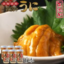 【ふるさと納税】うま味凝縮！一夜漬けうに60g×3本入 2セット＜上磯郡漁業協同組合＞知内町 ふるさと納税 北海道ふるさと納税 ウニ 北海道産ウニ うに 雲丹