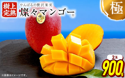 
            ＜2026年発送分は公開準備中・最高級 極＞燦々マンゴー900g(2玉)【1622439】
          