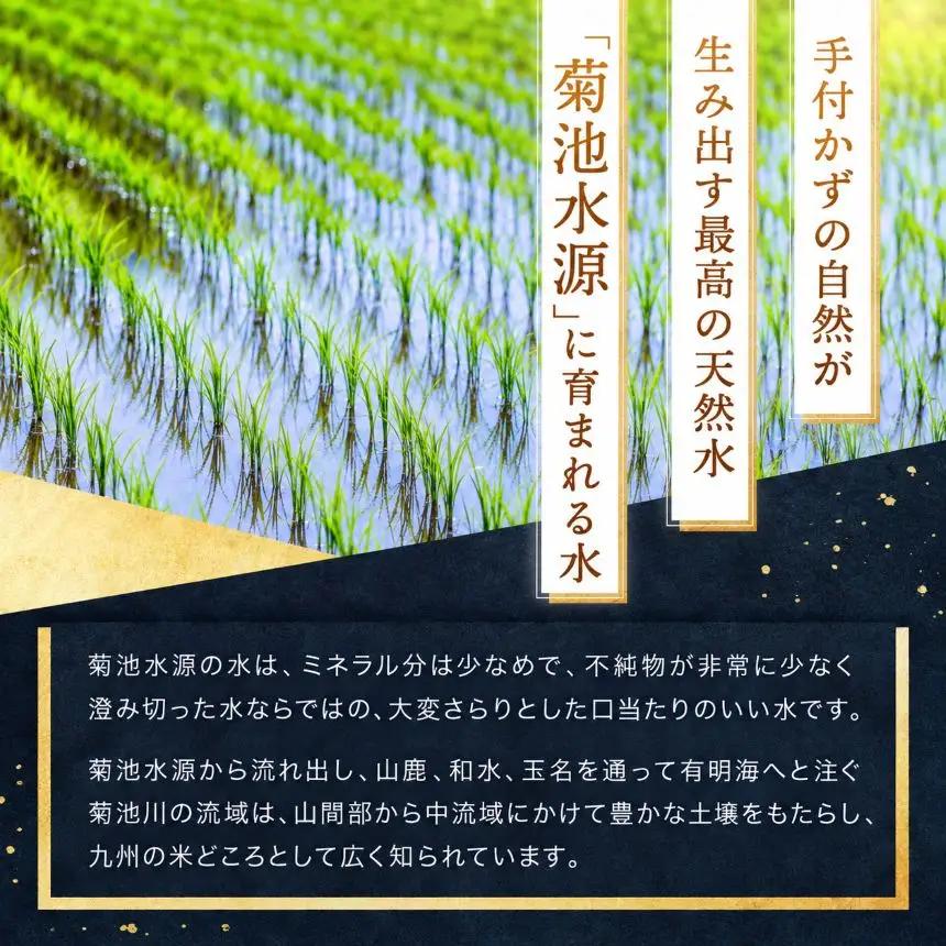 【 新米 予約 】 【 定期便 3回 】 令和8年産 熊本県産 ひのひかり 白米 25kg こめ 米 訳あり 規格外