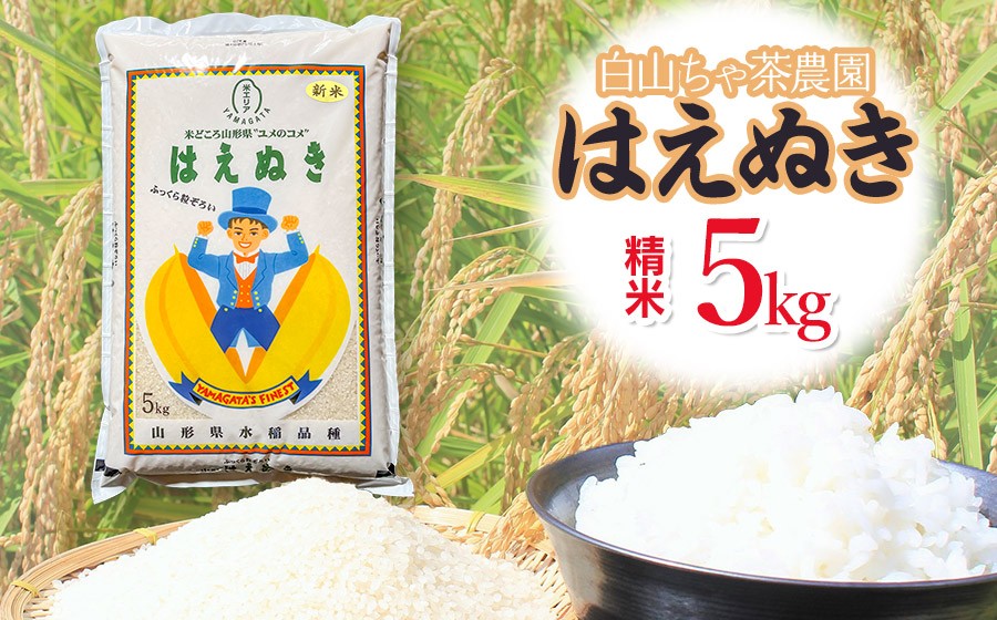 
                  【令和8年産先行予約】白山ちゃ茶農園のはえぬき　精米5kg(5kg×1袋)　K-835　山形県鶴岡市　| 5キロ はえぬき 白米 精米 米 お米 おこめ コメ こめ 食品 ご飯 ごはん おいしい 山形県 鶴岡市 東北 国産 返礼品
                