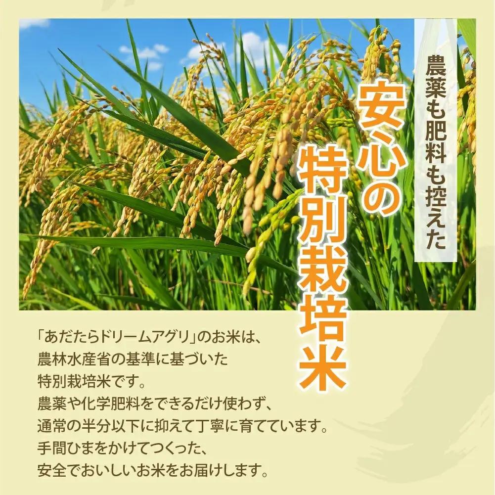 【令和７年産】特別栽培米 コシヒカリ 5kg