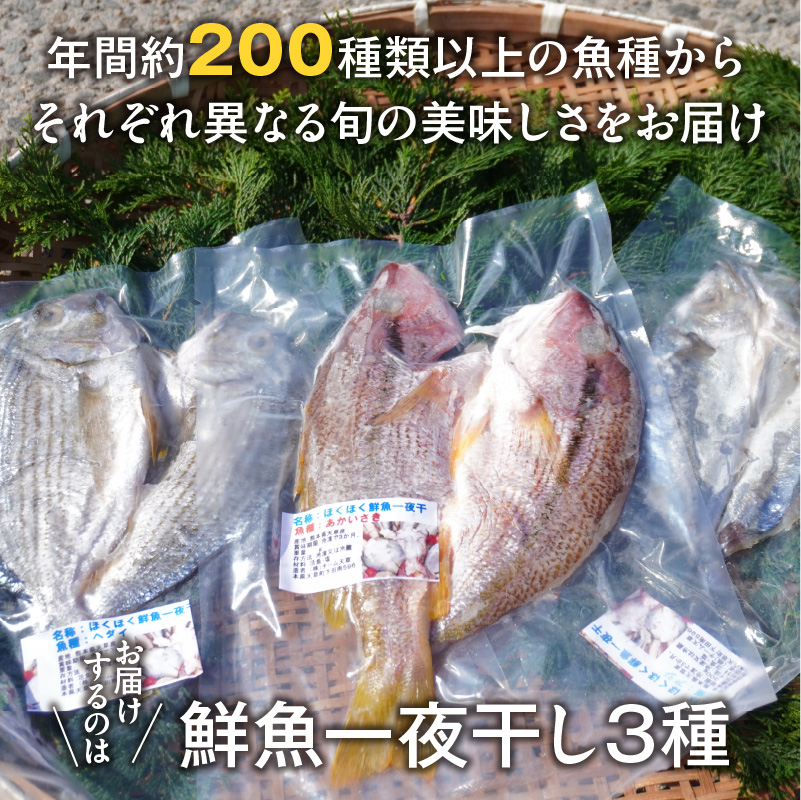 S059-022_旬の鮮魚一夜干し3種お試しセット