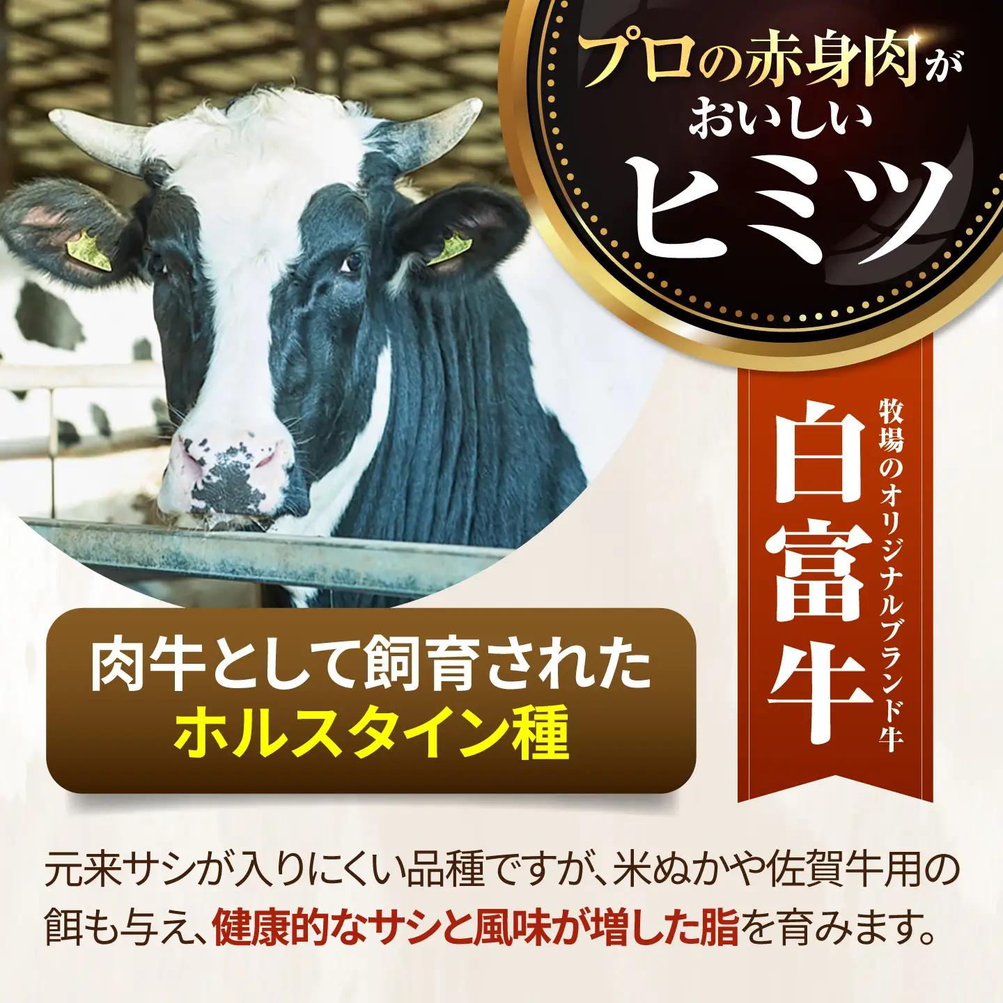 和牛ハンバーグ 8個 冷凍 ハンバーグ IAH015