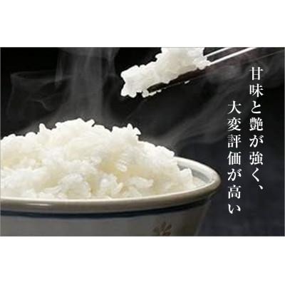 ふるさと納税 十日町市 【毎月定期便】ゆきまち米3合(450g)×10個[厳選された新潟県魚沼産コシヒカリ]全12回 |  | 01