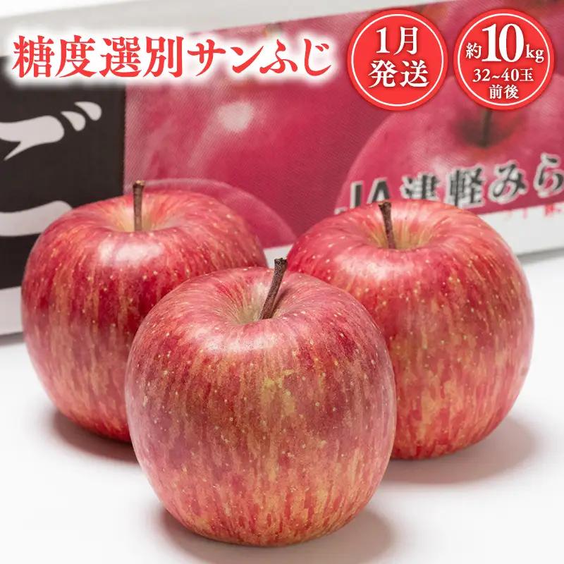 年明け発送 糖度選別サンふじ 約10kg  [hi-0001-018]