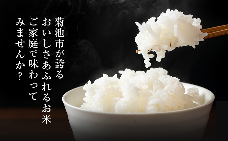 【3ヶ月定期便】熊本県産 肥後米 無洗米 白米 10kg 1袋5kg 米 お米 令和6年産 九州産 熊本県産 ブレンド米 送料無料《お申込み翌月に出荷予定》 無洗米 白米 米---026-3006mo